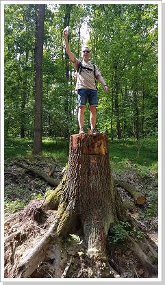 0035_20180510_120308 (Kopie).jpg